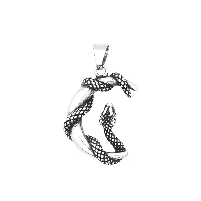 Collier Vintage avec pendentif la lune et serpent pour hommes et femmes, en acier inoxydable, Punk, 