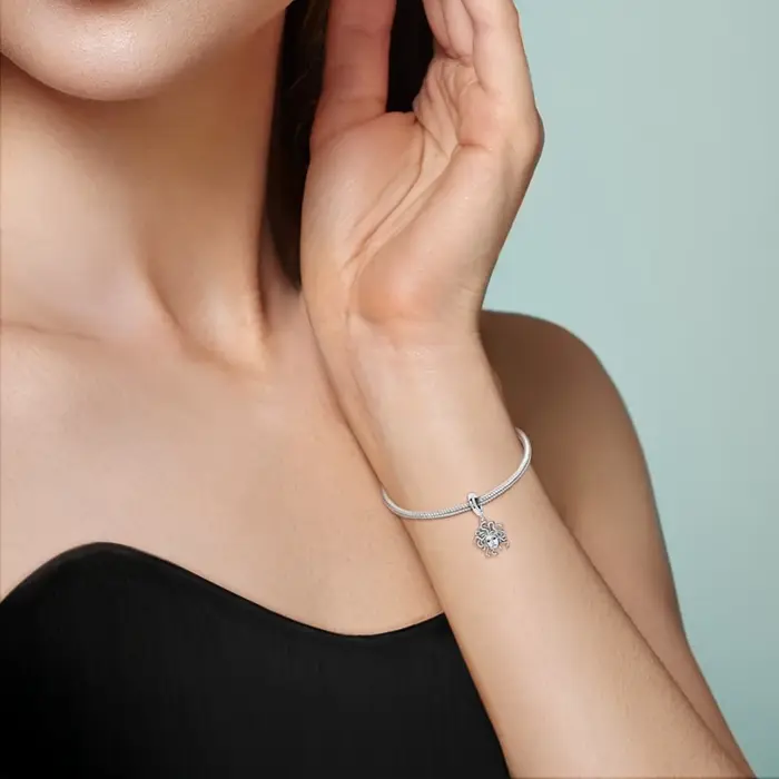 Breloques en argent Sterling 925