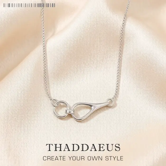 Collier Heritage Winter, tout nouveau bijou classique de marque, en argent sterling 925, cadeau pour